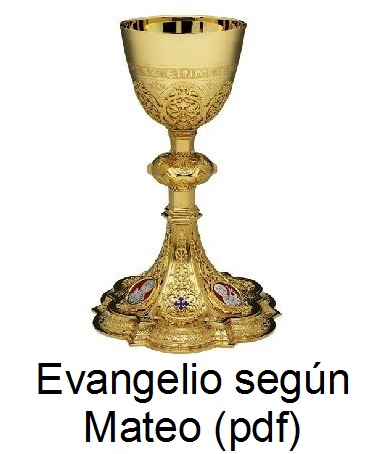 Evangelio de San Mateo pdf