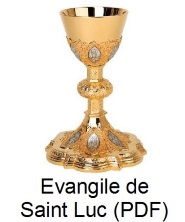  Evangile de Saint Luc format PDF